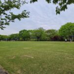 미사경정공원 피크닉 가이드 (주차·텐트·명당·요금·2026)
