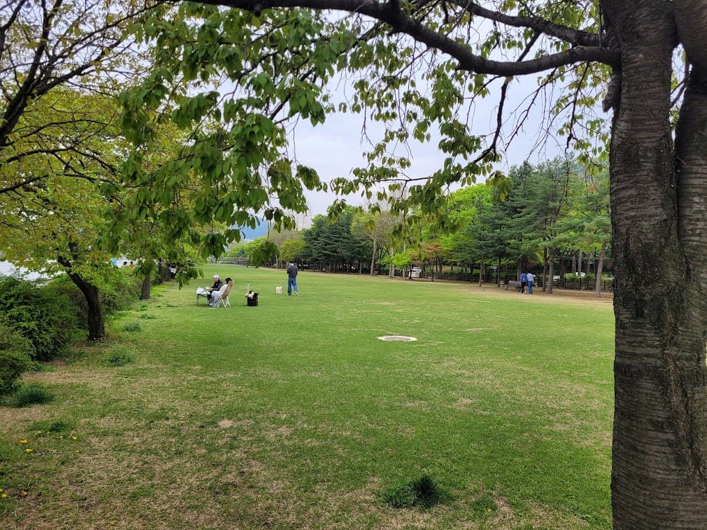 미사경정공원 호수 앞 잔디 명당 위치 전경