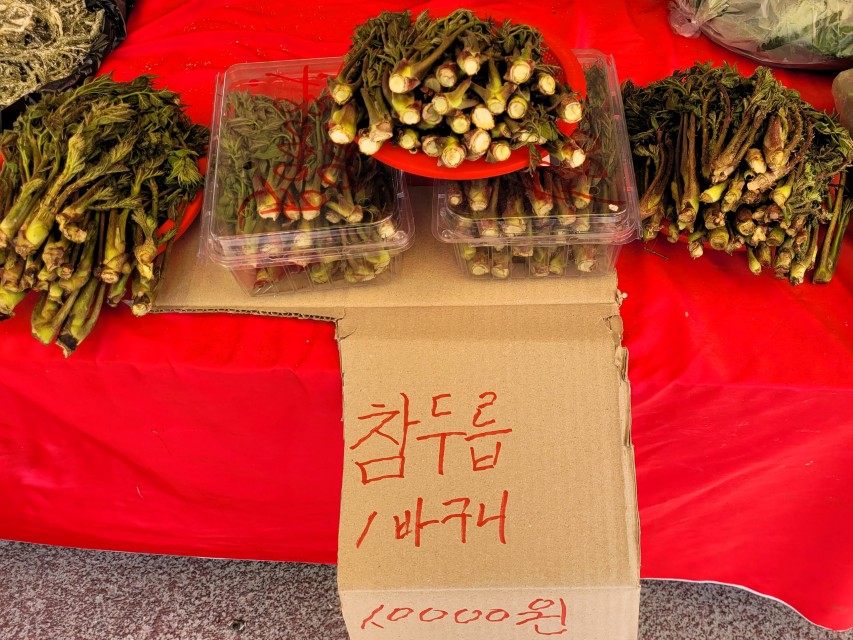홍천 5일장 좌판에 진열된 참두릅