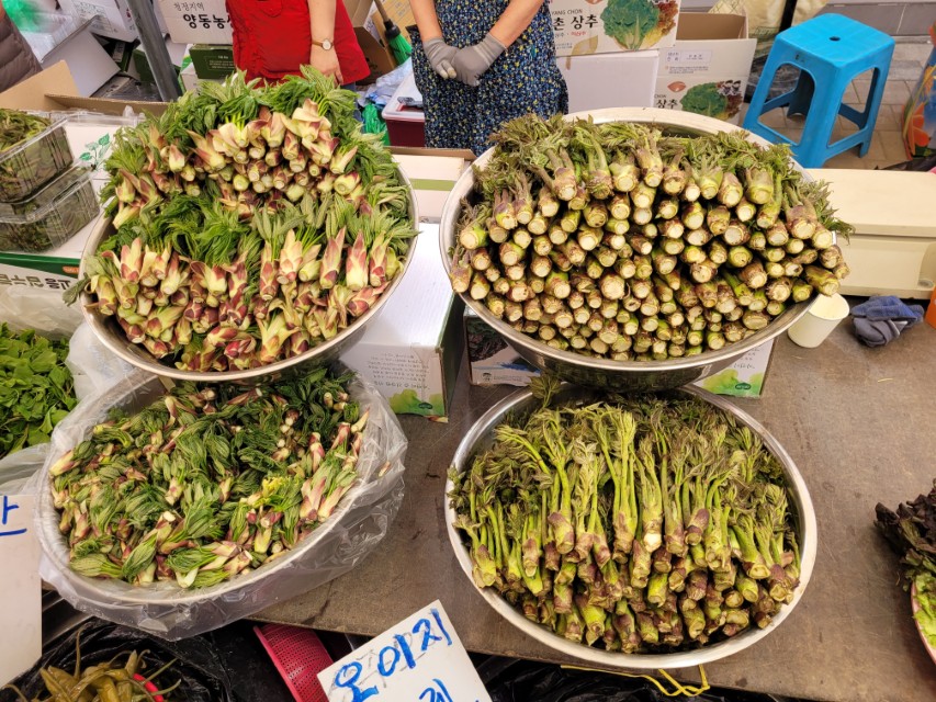 덕풍시장 참두릅