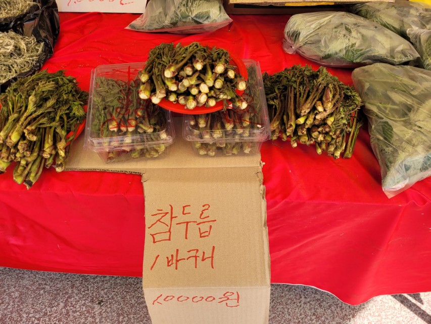 덕풍시장 참두릅 노점