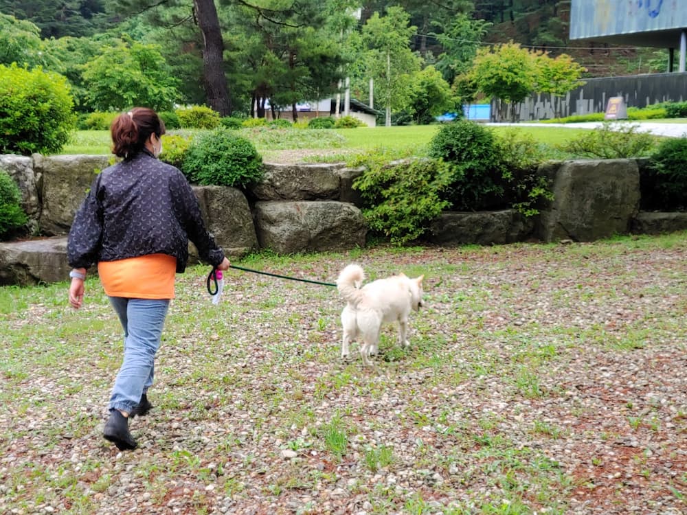 구만동 계곡 산책