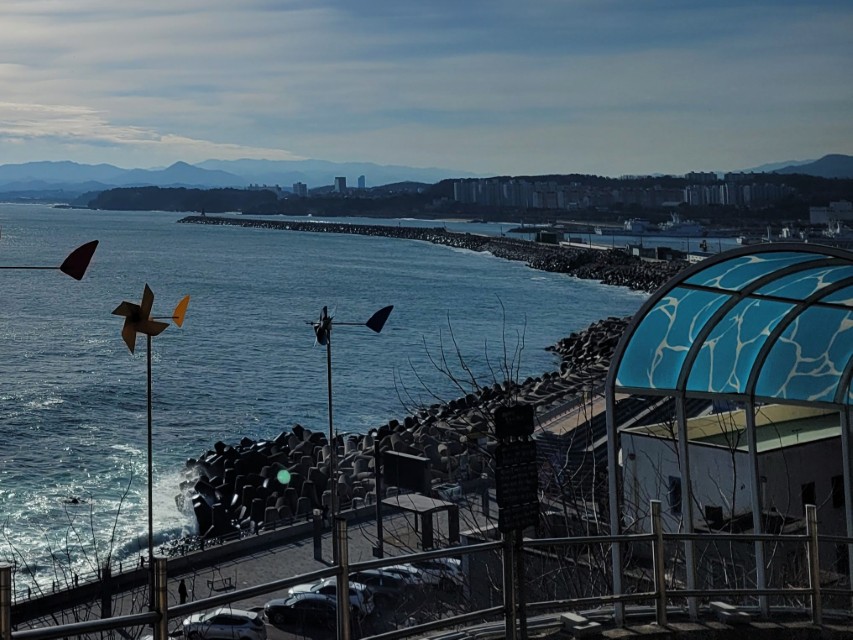 동해 묵호항 항구 풍경