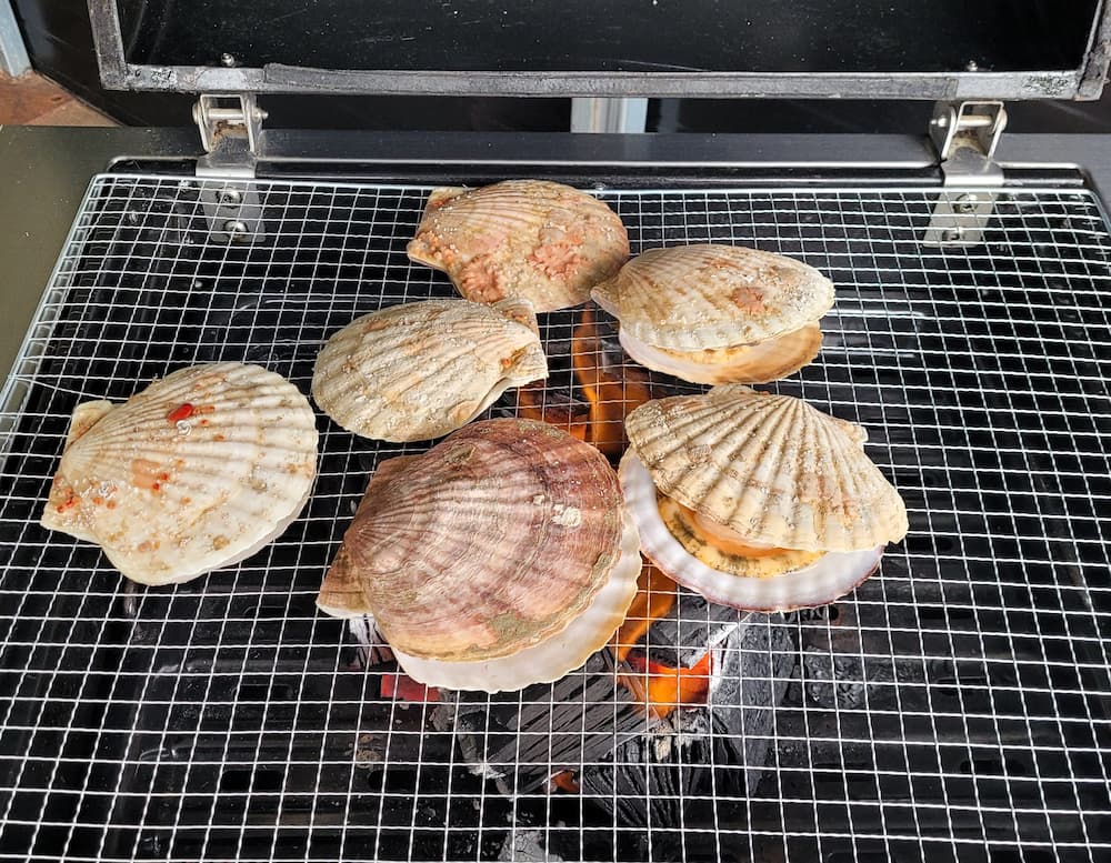 고성 써니힐 펜션 조개구이 바베큐