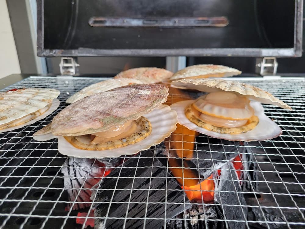 고성 써니힐 펜션 참숯 조개구이 바베큐