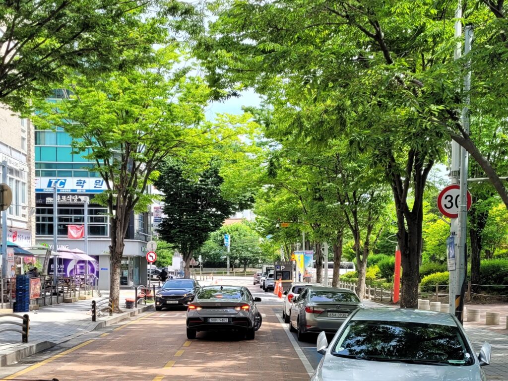 8호선 장자호수공원역에서 공원 입구로 이어지는 길