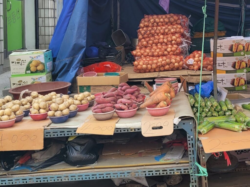 김포 5일장 제철 농산물 과일 좌판