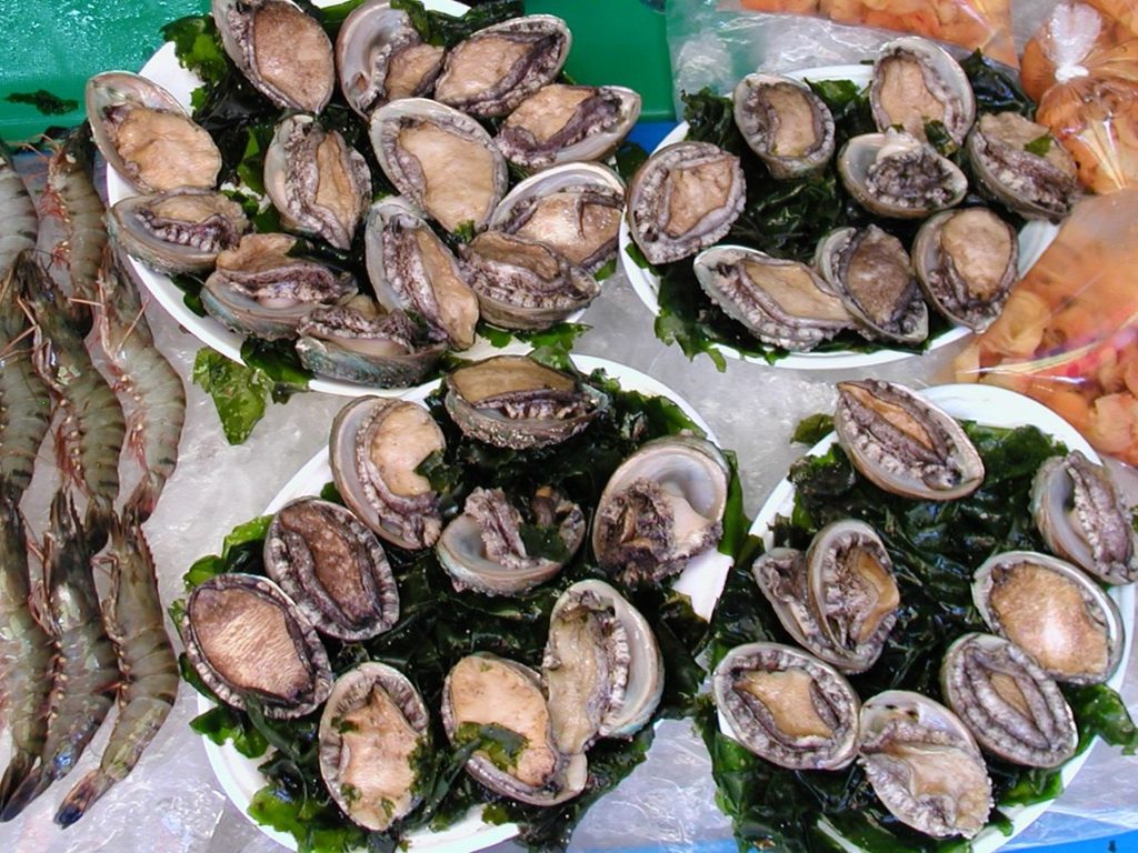 진도 특산물 전복