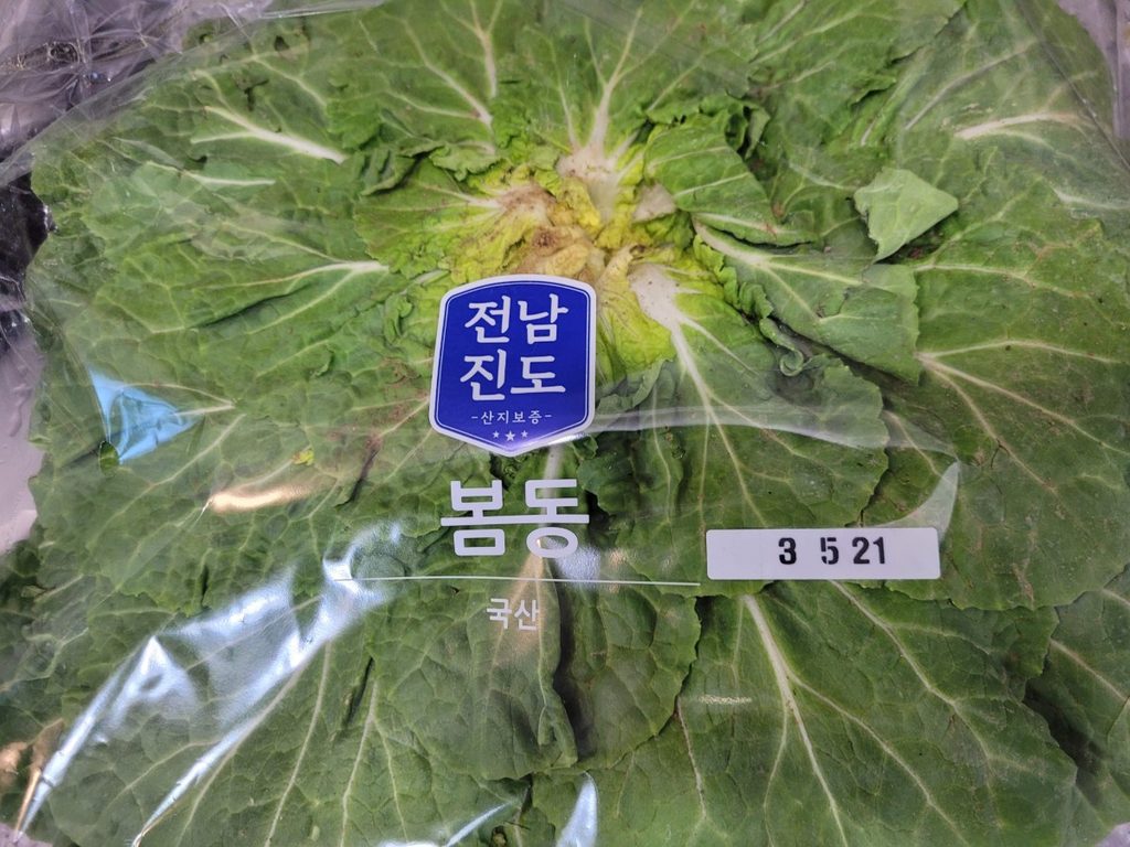 진도 봄동